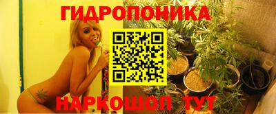 хмурый Краснодар