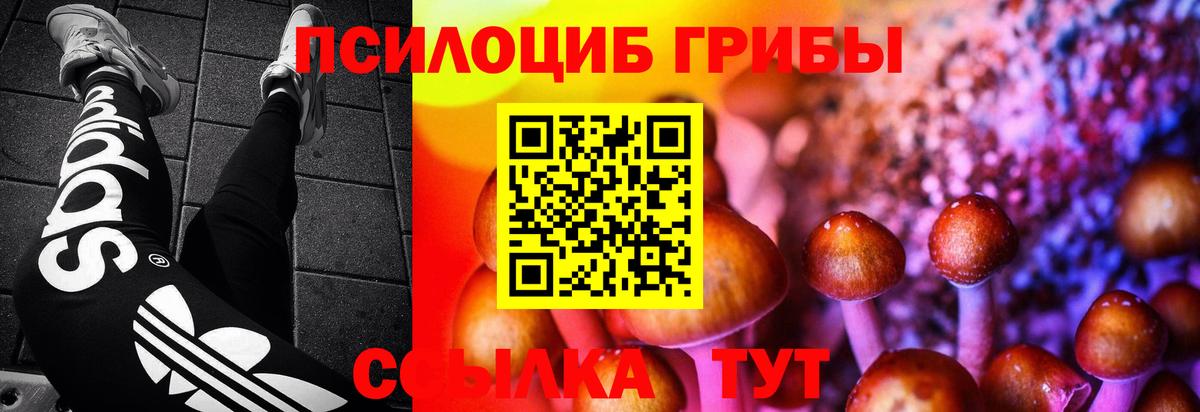 Комсомольск-на-Амуре  Псилоцибиновые грибы прущие грибы  Вход с VPN 