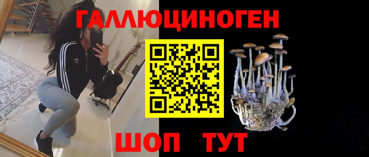 Галлюциногенные грибы Psilocybine cubensis Комсомольск-на-Амуре